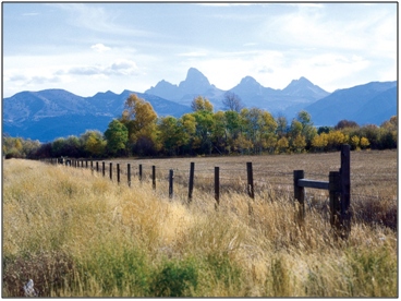 teton_e2.jpg